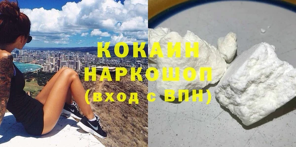 прущие грибы Аркадак