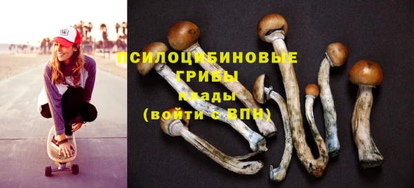 бутират Арсеньев