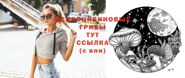 прущие грибы Аркадак