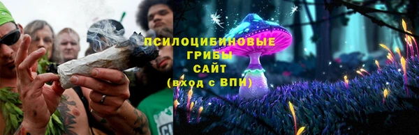 Альфа ПВП Беломорск