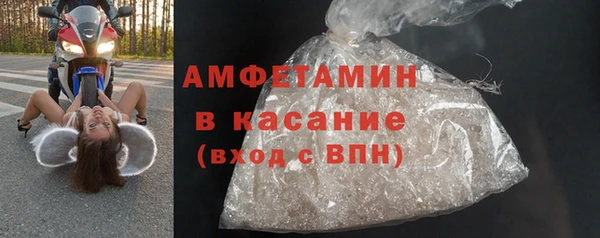 прущие грибы Аркадак