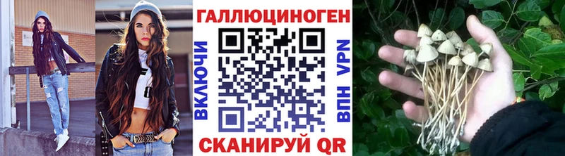 Псилоцибиновые грибы ЛСД  blacksprut рабочий сайт  Мариинский Посад  наркота 